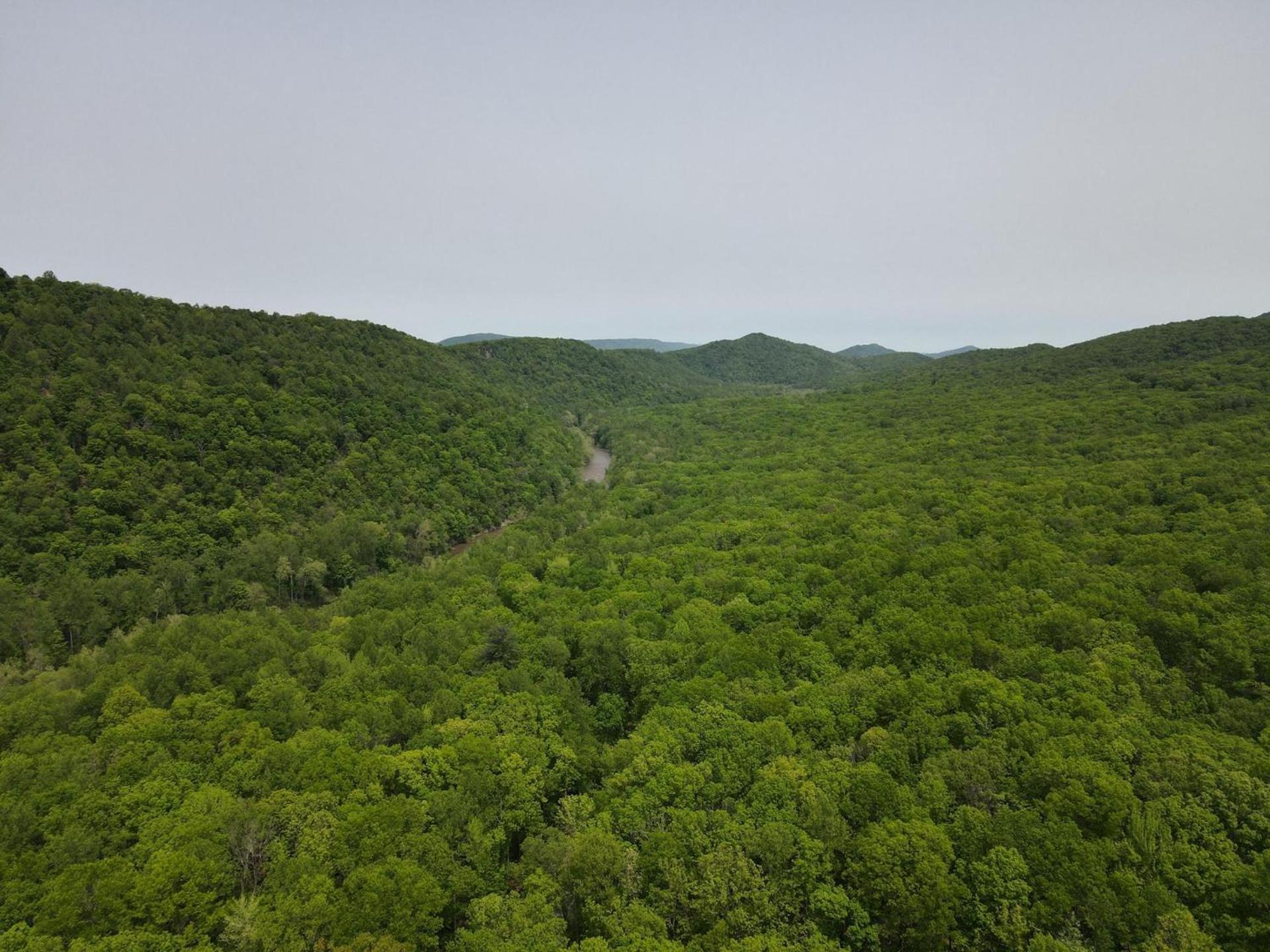 Bear Necessities -Forget Your Worries! Villa Great Cacapon Exterior photo