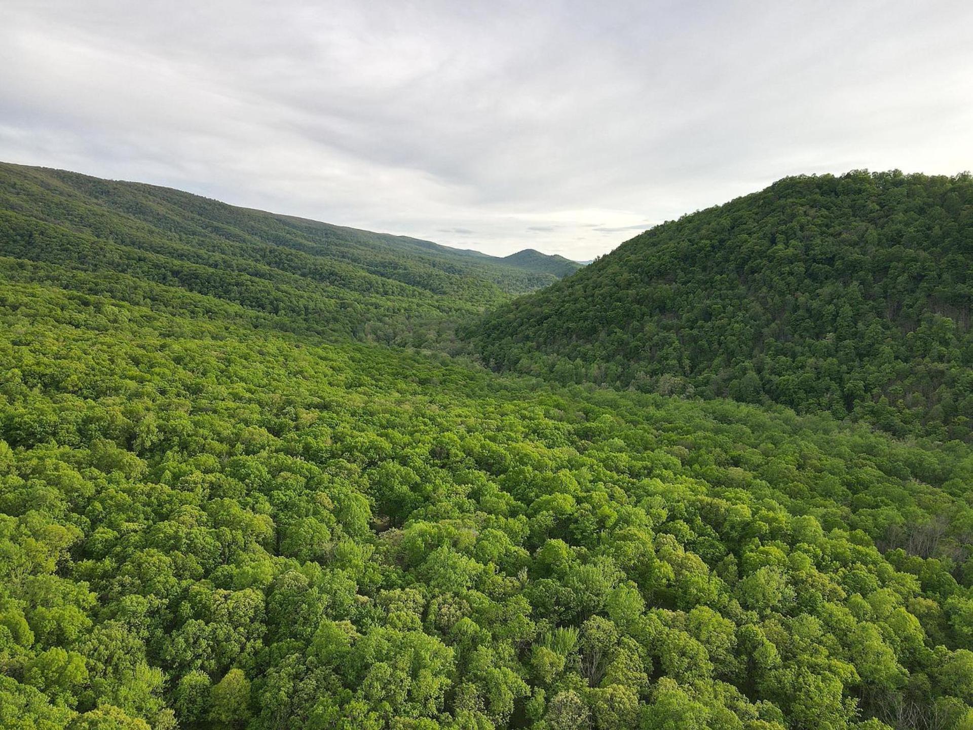 Bear Necessities -Forget Your Worries! Villa Great Cacapon Exterior photo